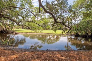 IMG_0666-HDR