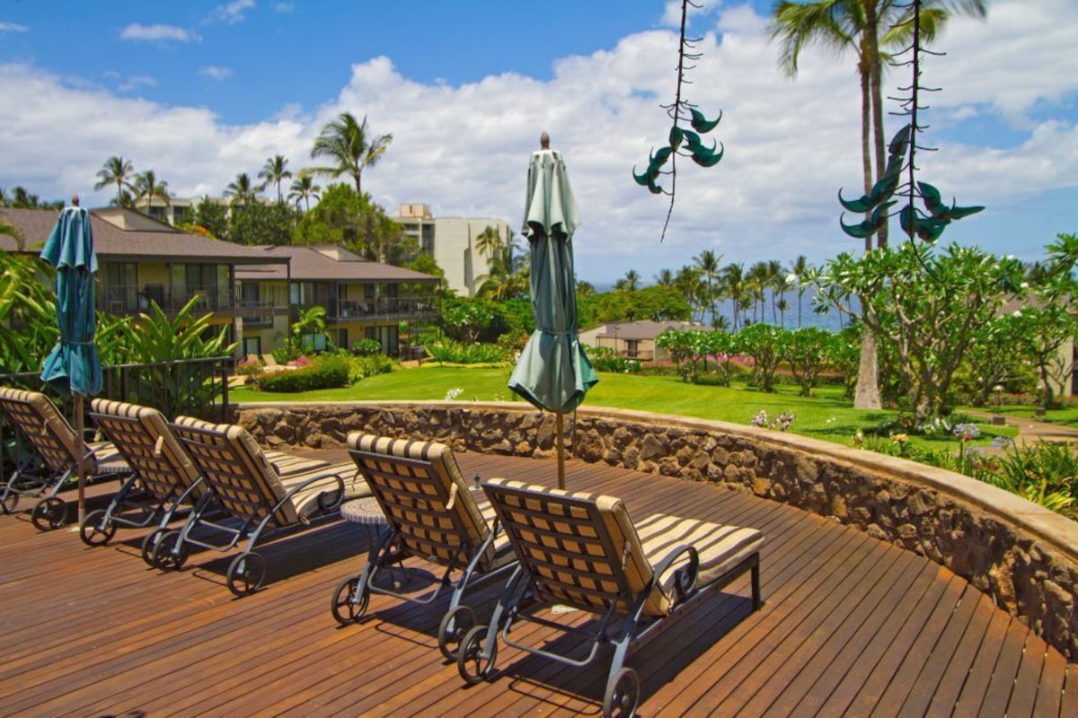 Beautiful Ground Floor Condo 2 BDRM Condo- Wailea Elua #2501
