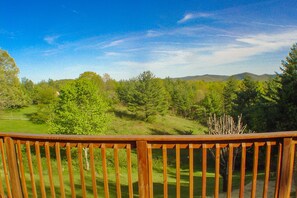 Enjoy long range views from the cabin.