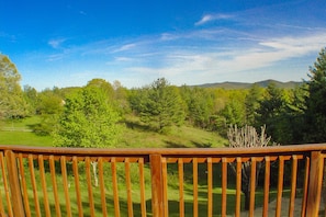 Enjoy long range views from the cabin.
