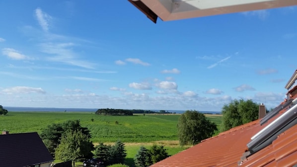 Vue depuis l’hébergement