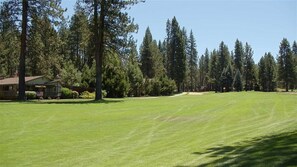 View from deck.