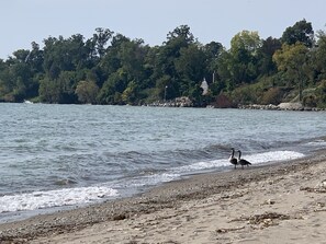 Spiaggia