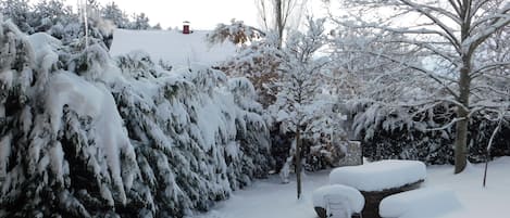 Desportos de neve e esqui