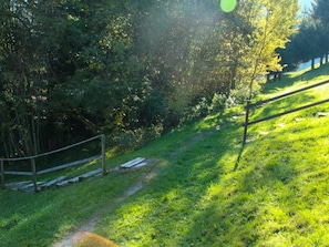 Plant, Plant Community, Green, Natural Landscape, Natural Environment, Tree, Shade, Botany, Land Lot, Vegetation