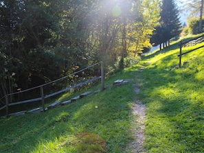 Plant, Plant Community, Ecoregion, Natural Landscape, Branch, Sky, Slope, Land Lot, Tree, Shade