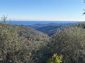 Blick von der Terrasse 