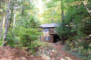The house is set back in the woods. This is looking from the lake.