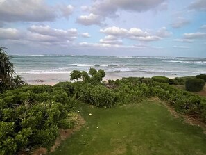 Seascape Serenity Cottage will whisk you away from the hustle and bustle of the city. Relax & enjoy tropical breezes and amazing ocean views.