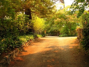 Jardines del alojamiento