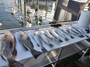  Pete's Pier Marina.  Charter a fishing trip,  or hang out and feed the tarpon 