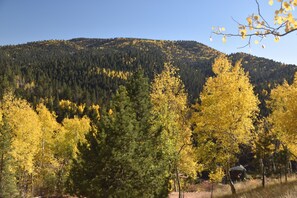 Undeveloped national lands provide beauty and privacy.