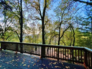 View from the back deck.