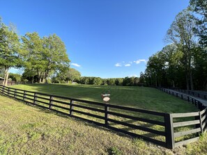 Front Pasture 