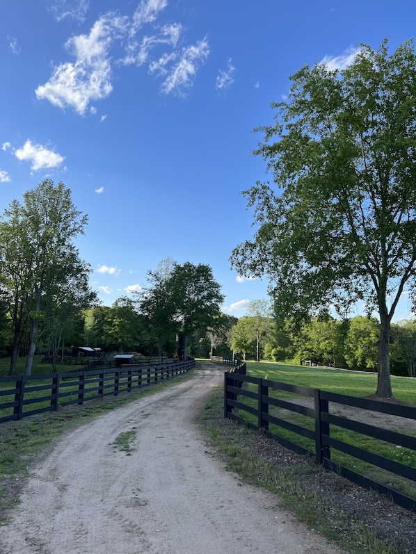 Access to wooded trails