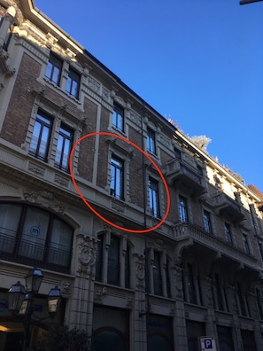 Exteriör