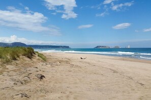 Area that directly surrounds the property. The beach overlooking the Islas Medas