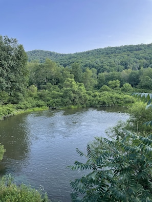 View from deck and living room window