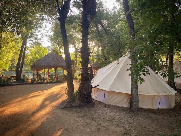 Beautiful scenery around the property!