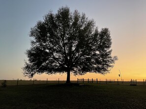 Overnatningsstedets område