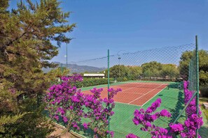 Sport court