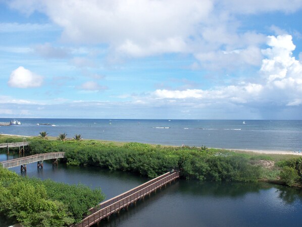 View from property