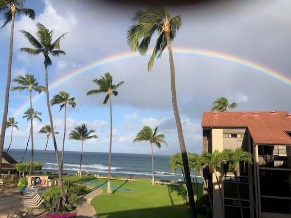 View from the lanai