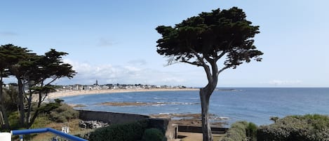 Vue sur la plage/l’océan