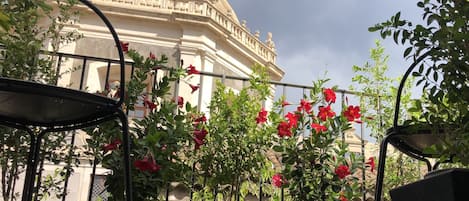 The terrace with wonderful view