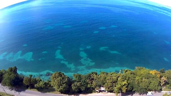 Drone Overhead