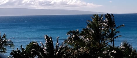 Whale Watching View from Lanai!