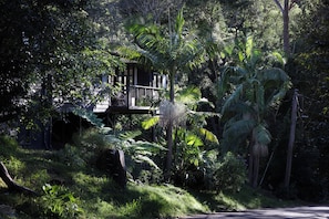 Leafy outlook sitting on the balcony in amongst the palm trees