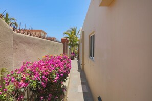 Path around the main house to access pool/firepit area and stairs to guest house