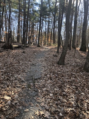 Claytor lake trails 50 feet from driveway