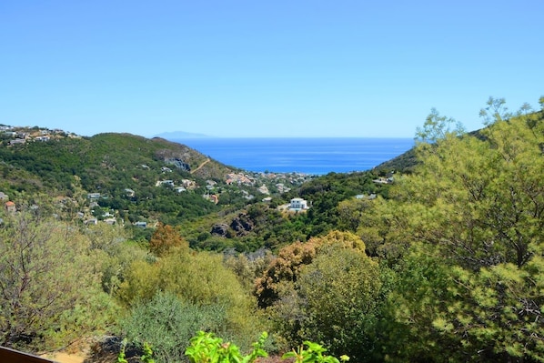 VUE magnifique sur la mer 