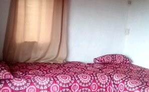 The two single beds in the living area separated by a screen