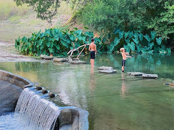 Divers