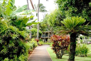 Resort Paths