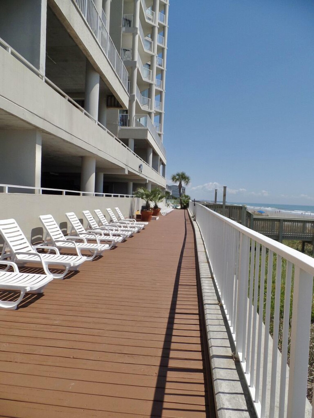 Luxury Ocean Front