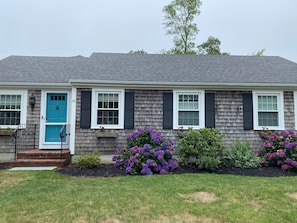 Front of house with hydrangeas.