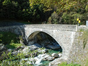 Pflanze, Wasservorräte, Wasser, Natürliche Landschaft, Wasserlauf, Bank, Auwald, Bedrock, Formation