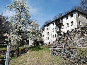 Himmel, Pflanze, Wolke, Gebäude, Fenster, Haus, Baum, Grundstueck, Nachbarschaft, Gras