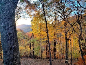 Wooded Surroundings at Sundance View (Fall)