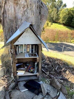 Holiday reading at the community book exchange in nearby Central Tilba...in the park near the Dairy