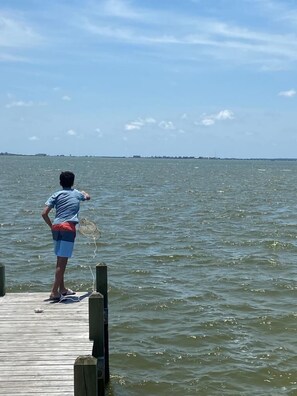 Crabbing Adventure in the Sound: A Coastal Experience