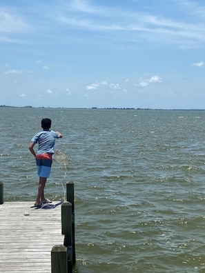Crabbing Adventure in the Sound: A Coastal Experience