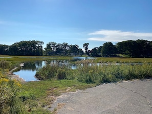 Launch kayaks here!