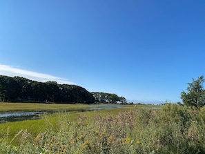 View of the back river from the cul de sac