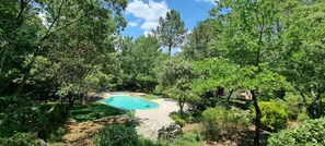 Une piscine dans une forêt ! Terrasse en bois, gazon synthétique, gravier