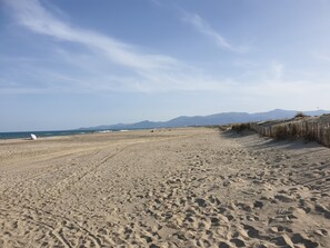 ビーチ